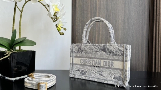Tony Luxuries TOTE-21.5*13*7.5CM BOOK MINI diro 0722